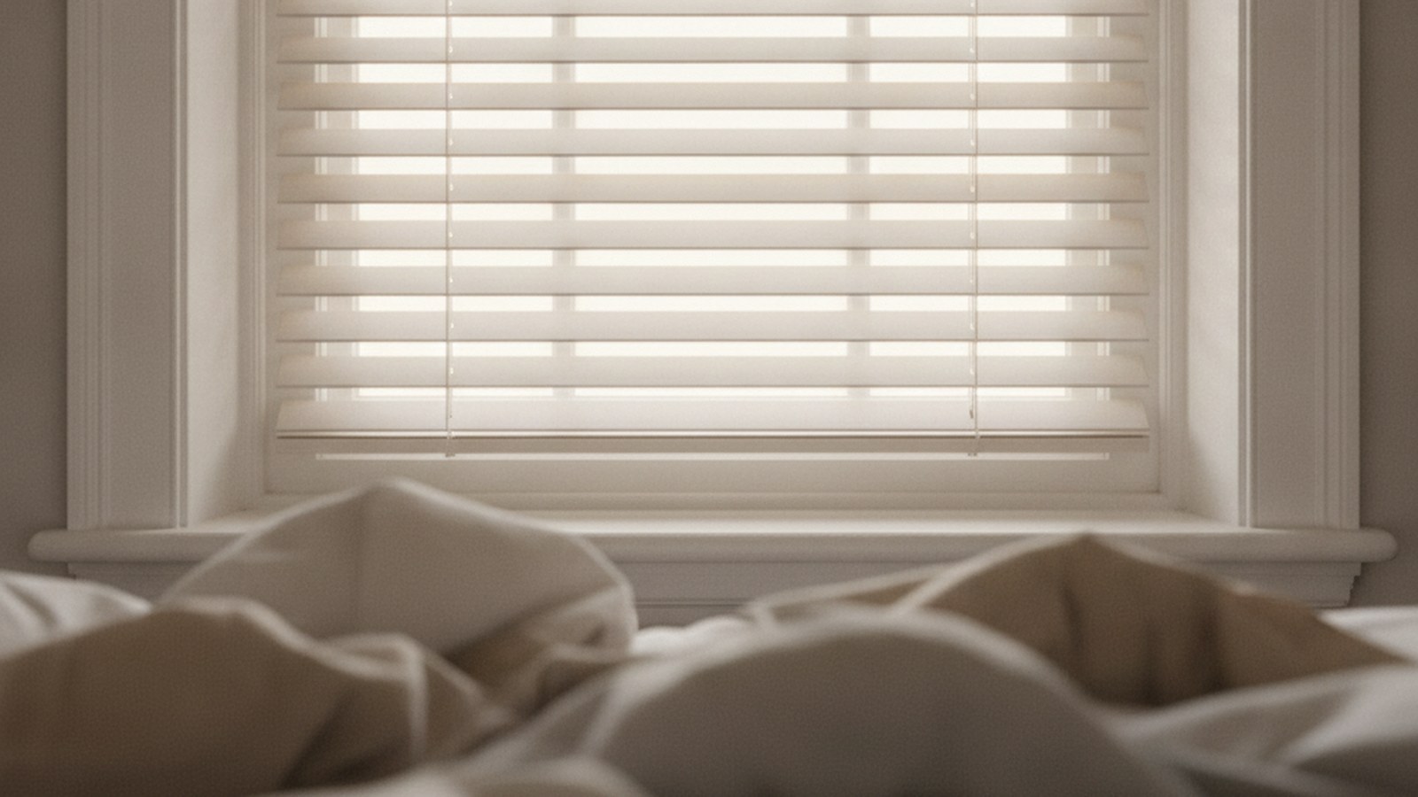White painted wooden venetian blinds with 50mm slats in a Cape Town bedroom